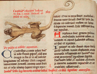 Illustration for article titled How Europeans Imagined Exotic Animals Centuries Ago, Based on Hearsay